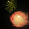 Candle Sand Granulated Candle Wax Pearled Candle Wax  Color Powder Palm Wax Diy Decoration Colored Sand
