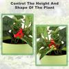Plant Training Clips 40Pcs/set Flexible Reuseable Plants Flower Training Bender For Garden Flowers Fruits Planting