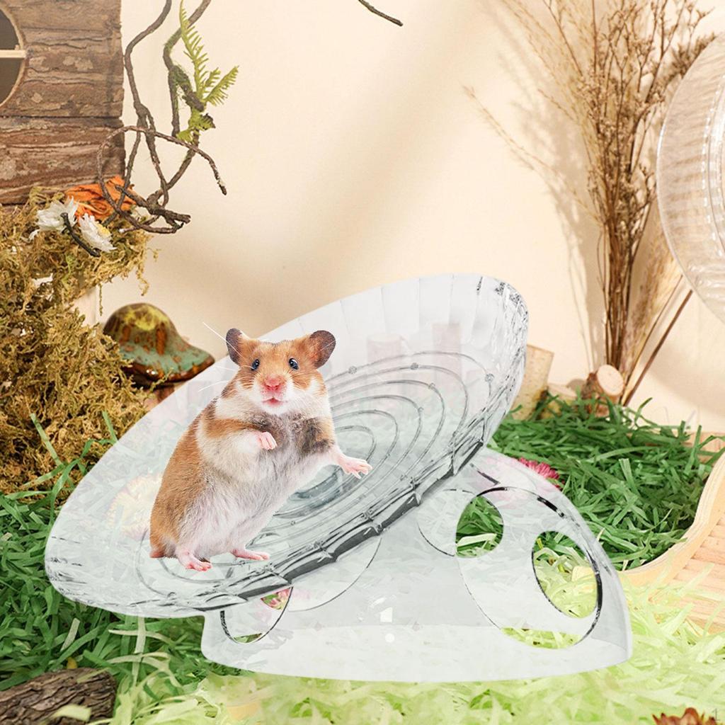 Hamster Exercise Wheel Cage Decoration Enrichment Toy Pet Supplies Round Quiet Roller Rotating Disc