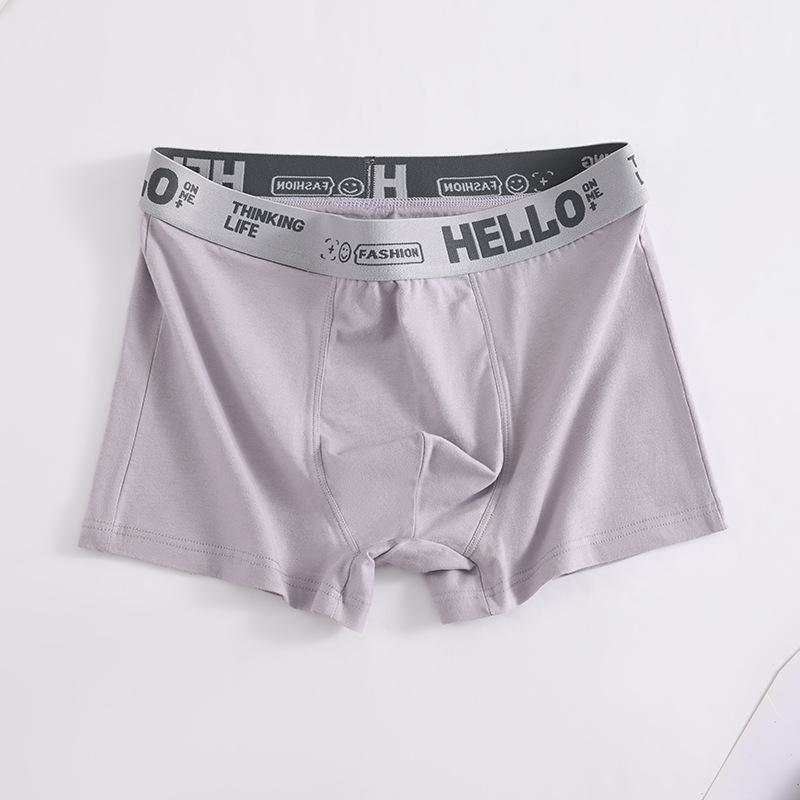 Antibacterial Mid-Rise Boxer Briefs for Men and Teens - Breathable Large Size Pants.