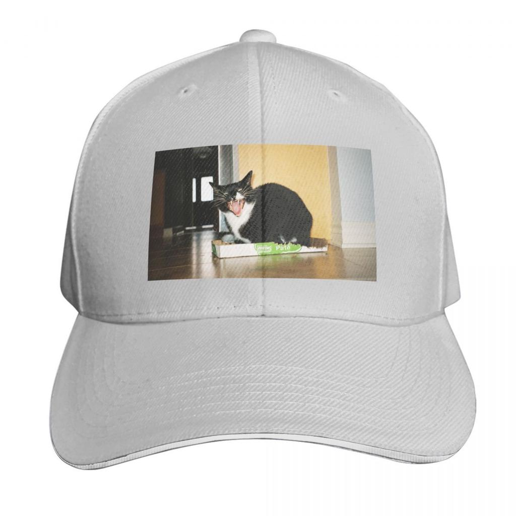 Angry cat Baseball Cap Low Profile Unstructured Unisex for Men Women Outdoor Golf Running Hiking