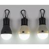 Camping Lamp, Light Gray, Battery-Powered, Hanging Bulb