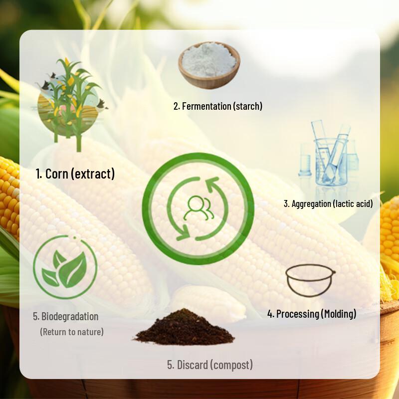 ZL Disposable 4-Compartment Biodegradable Corn Starch Lunch Box