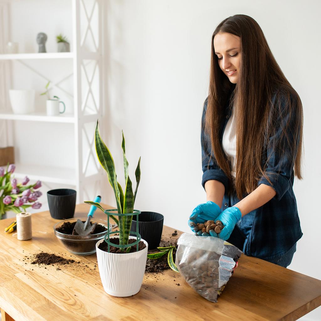 6Pcs Plant Support Stakes Plastic Plant Support Multifunctional Garden Flower Support Indoor Plant Stake Garden Supplies