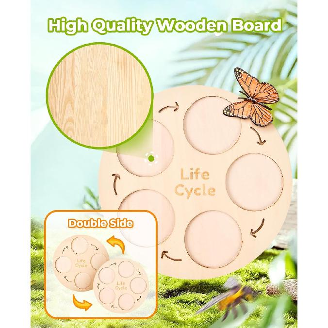 Life Cycle Learning Education Toys, Insect Caterpillar To Butterfly Kit, Ladybug, Bee, Tadpole To Frog Kit Life Cycle Toys for Kids, Preschool