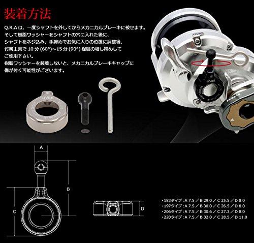 LIVRE 8171 Q.R.A 206 Type Gold x Black