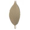 Thermometer Leaf L 5 Pieces Changes Depending On +d d-710-L [Color Temperature]