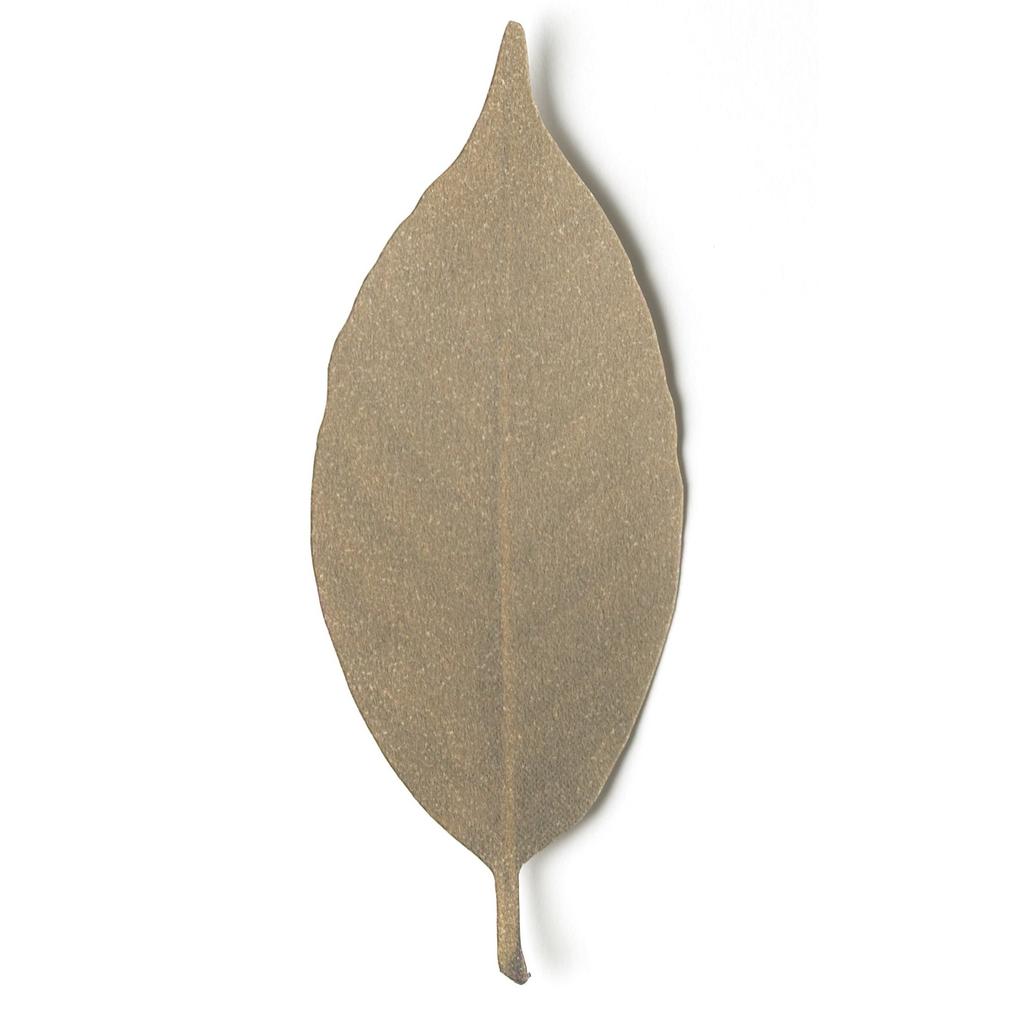 Thermometer Leaf L 5 Pieces Changes Depending On +d d-710-L [Color Temperature]