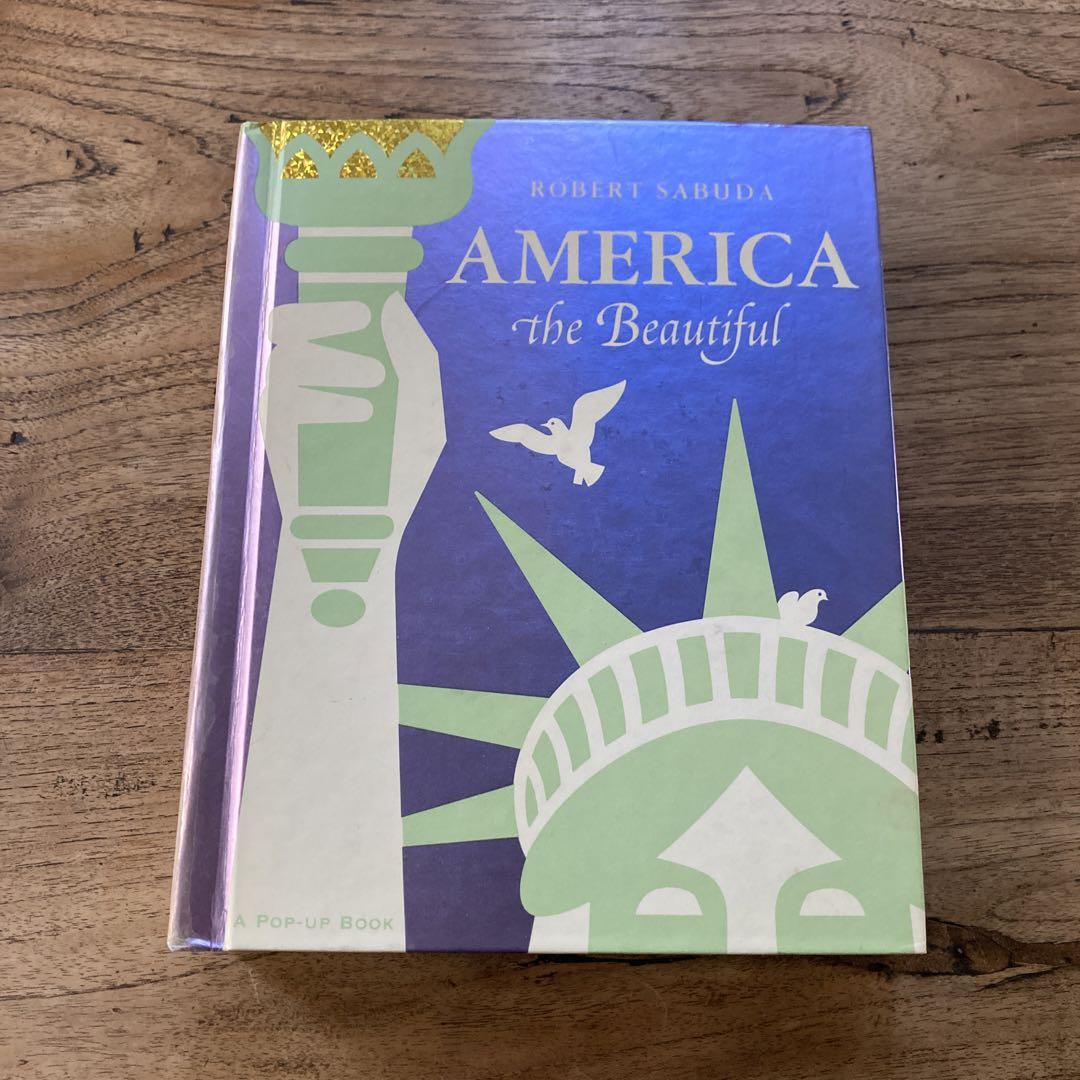 

[USED] Pop-up picture book America
