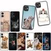 For Samsung Galaxy S25 S23 S22 S24 FE Ultra Plus A56 A05 A06 A15 A16 A57 S7 Edge Phone Cover Case Cat Meow