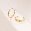 Schicke europäische & amerikanische, vergoldete Metallohrringe: Schlichte, Kaltblütige Mode