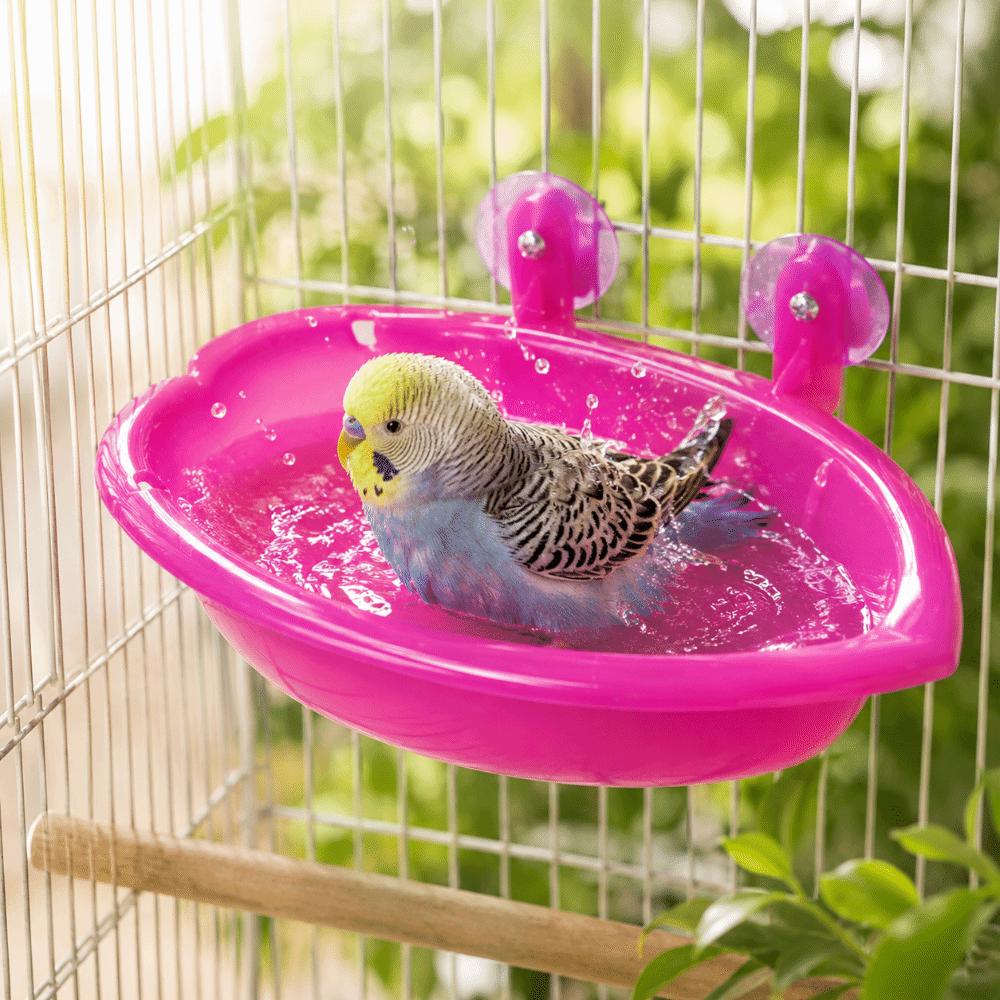 Swimming Pool Bird Bath Shower Durable Bird Drinking Bowl Parrot Shower Bird Feeding Bool  Pet Toys