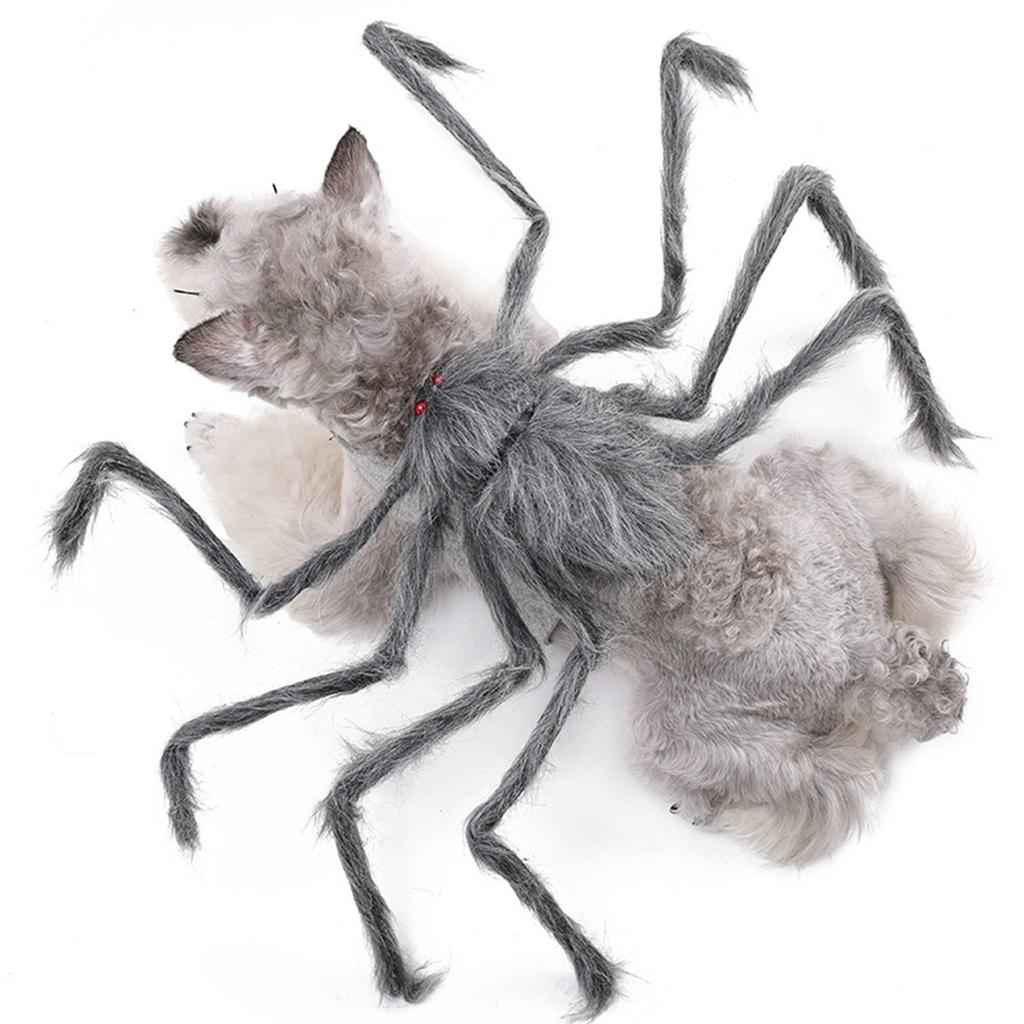 Haustier Kostüm Hut Lustige Spinnen Tier Cosplay Kleid Cosplay Zubehör Haustier Cosplay Zubehör Spinnen