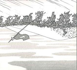 

CD SHELLAC - Excellent Italian Greyhound TG303CD Touch And Go 2007 US Rock