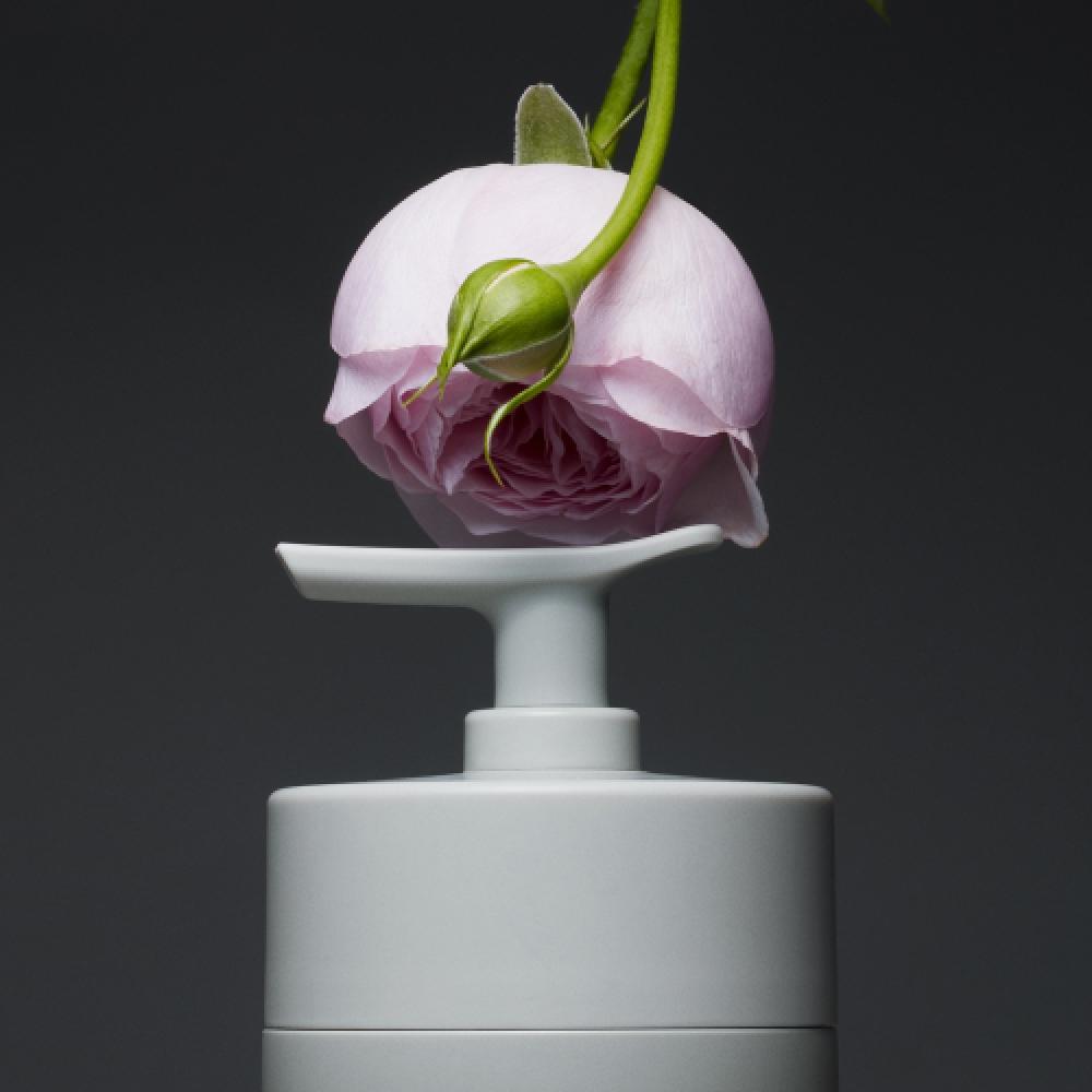 Emissary.73 Enriching Hair Set  Shampoo   Treatment 