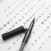 BANMI Transparent Calligraphy Brush Pen with Fine Point, Small Regular Script Wolf Hair, Ink Storage for Color Ink Use
