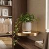 Built-in LED Lights LED Light Shelf Wall Mounted Display Rack Storage Shelf  Bedroom Decor