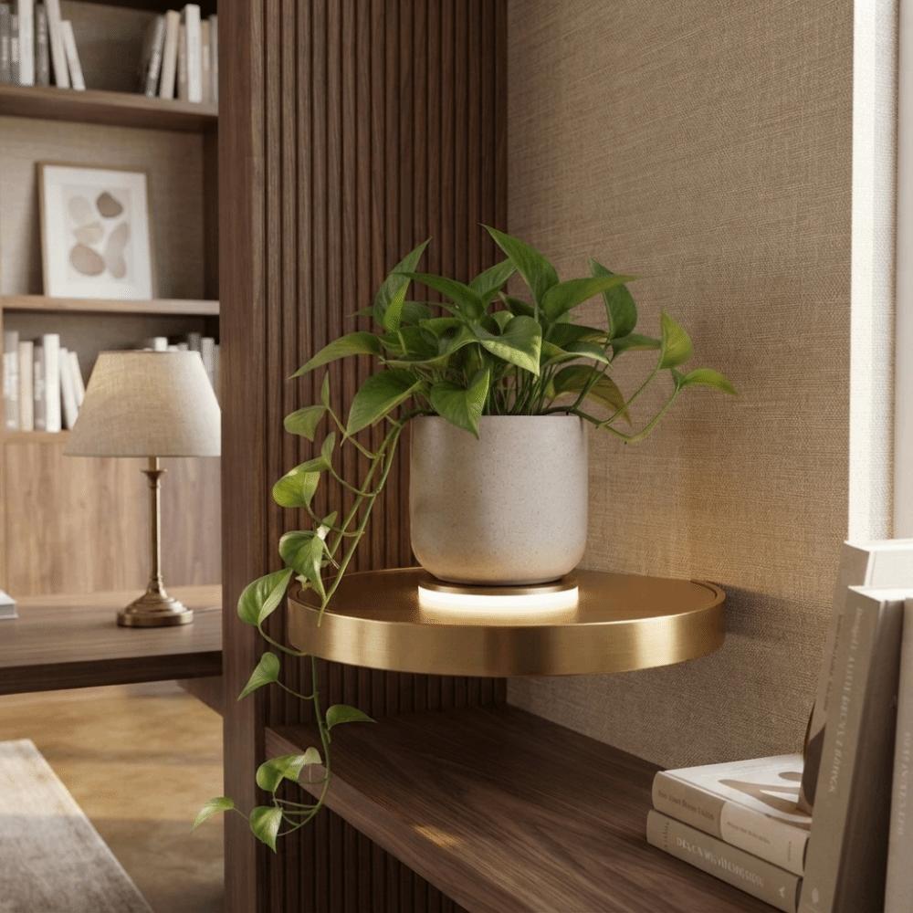 Built-in LED Lights LED Light Shelf Wall Mounted Display Rack Storage Shelf  Bedroom Decor