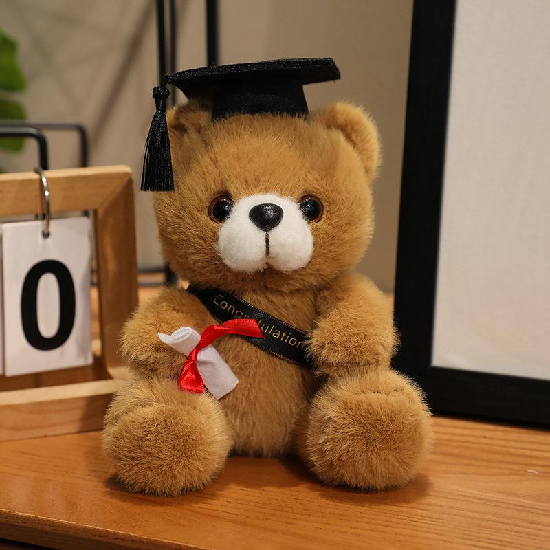 Graduation Gift Bear for Students: Doctoral, Master's, University, Kindergarten