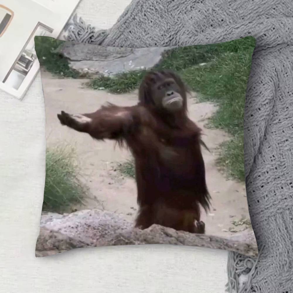 Monkey Music Sipping Meme Doublesided Printed Square Decorative Cushion Cover for Sofa Living Room Home Decor