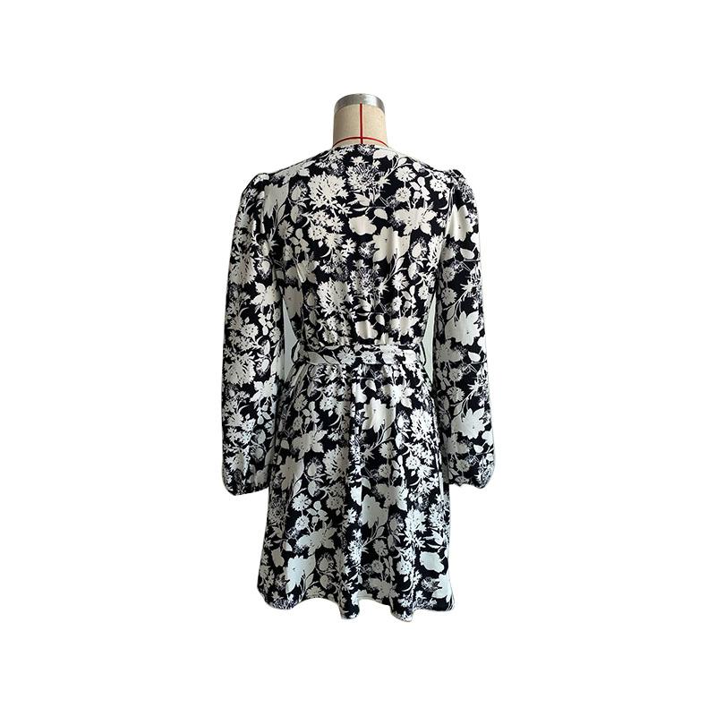 Women's Spring Autumn V Neck Long Sleeve Lace Up Printed High Waist A Line Dress
