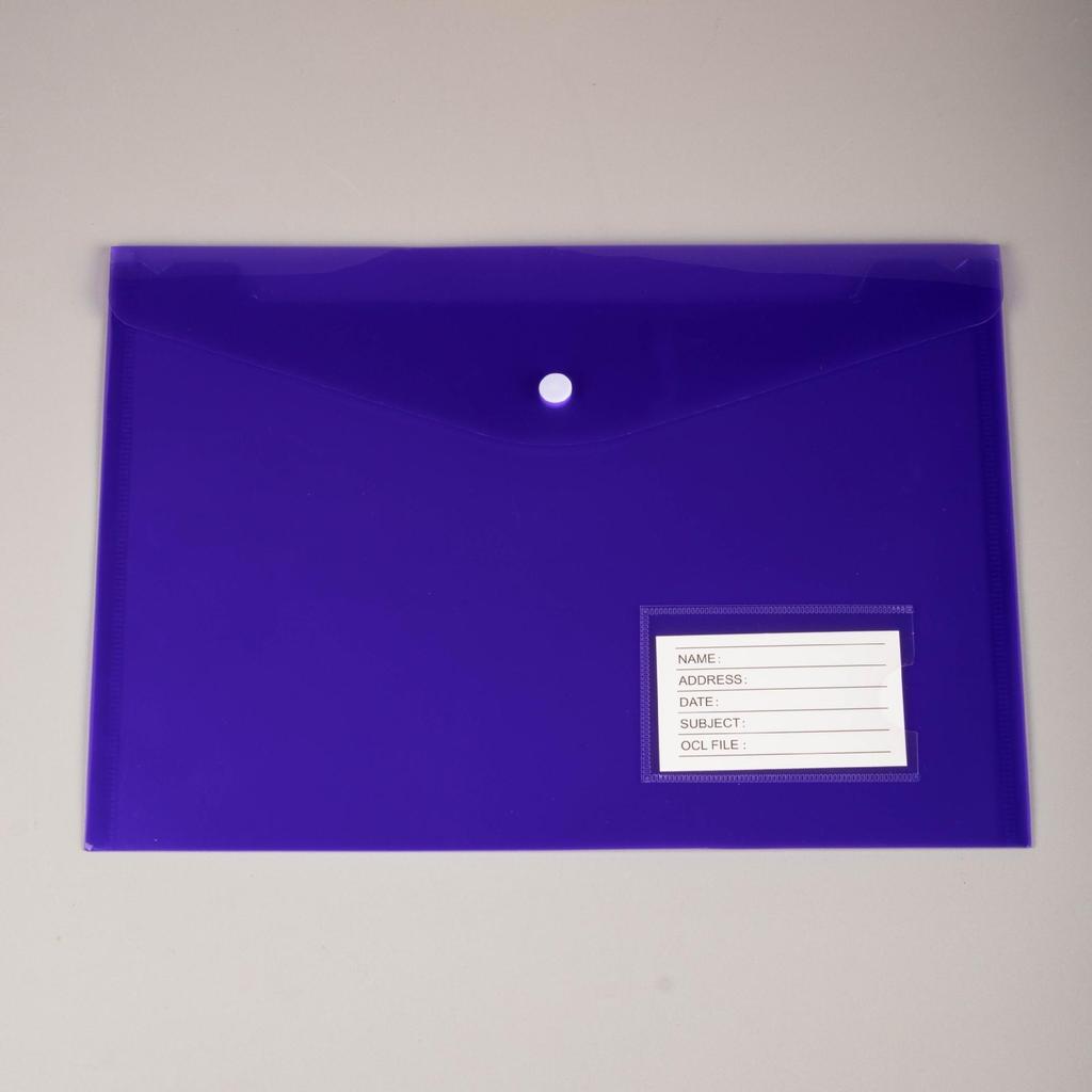 Custom Transparent File Bags with Cartoon Design and Snap Button Closure - A4 & A5 Sizes