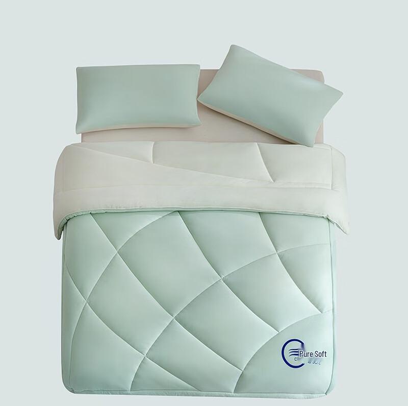 Qisefang 7A Antibacterial Deep Sleep Winter Quilt