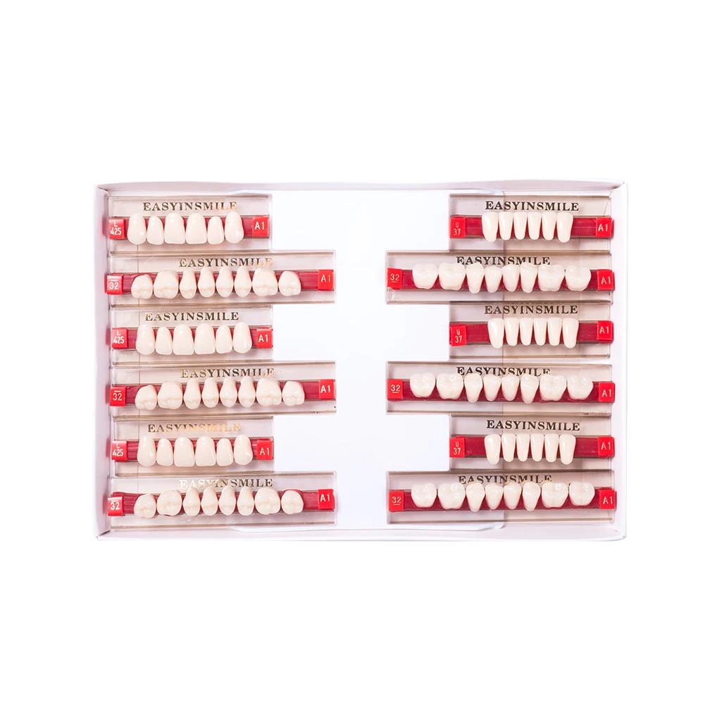 16/12 Sätze/Karton Zahnprothese Zähne Oberkiefer Frontzähne Unterkiefer Seitenzähne Dentier Synthetisches Polymerzähne Zahnmedizinische Ausbildungsmodell