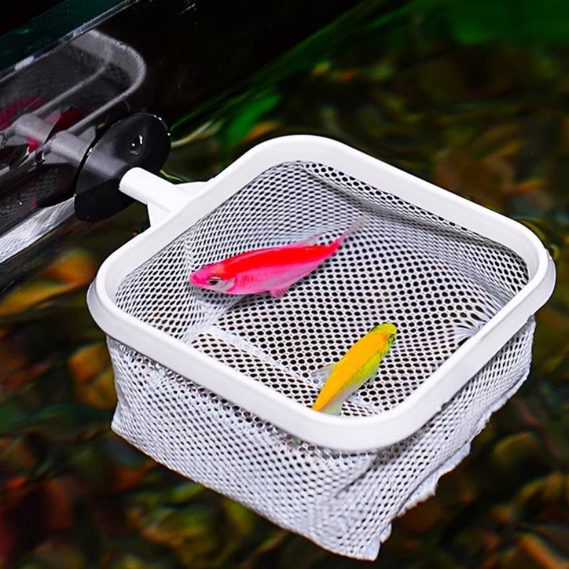 Fishing Landing Net Extendable Telescopic Fish Shrimp Skimming Net Stainless Steel Handle Fish Net for Aquarium Fish Tank