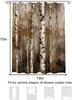 Birch Tree Forest Shower Curtain Machine Washable All Season Waterproof Privacy Protection Nature Design Rustic Hooks Included