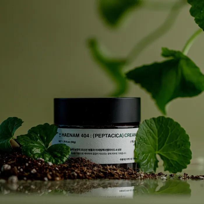 Haenam 404 Peptacica Dawn Cream 50g