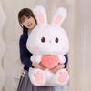 New Rabbit Doll Plush Toy Cute Radish Rabbit Cloth Doll Doll Doll