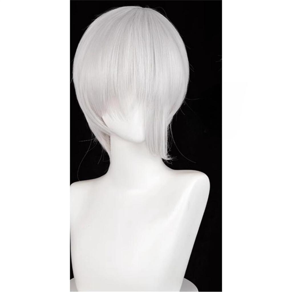 Laubao Shopping Antarcticite Cosplay Gray Costume Halloween Cosplay Wig Wig, Bob, Hair, Heat-Resistant, Accessory, Costume, (Antarcticite)