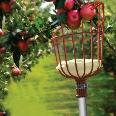 Teleskopische Obstpflücker Werkzeuge Hoch Höhenstange für Verschiedene Höhen Garten Obstpflücker Fänger Frische Orangenpflücker Werkzeuge