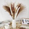 Artificial Dried Pampas Grass Plastic Simulation Reed for Wedding Home Decoration