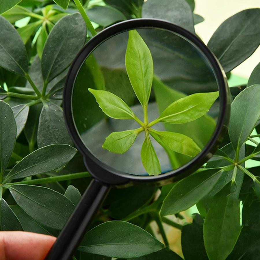 24/48pcs Plastic Handheld Black Magnifying Glasses Lightweight Reading Magnifier for Office, Document Review & Daily Use