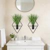 Elegant Iron Wall Hanging Plant Shelf Hanging Vertical Wall Mounted Plant Planting for Indoor Greeneries