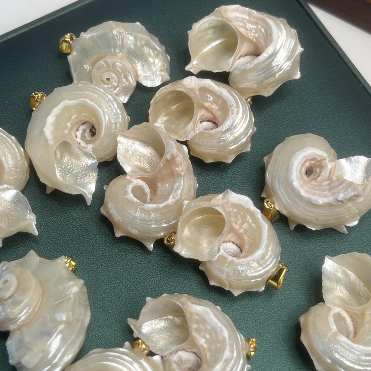 

10 шт. Подвеска-ракушка, кулон-ракушка 25-40 мм для изготовления ювелирных изделий, DIY ожерелье, браслет, серьги, аксессуар 10pcs