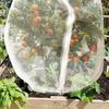 Fruit Tree Netting Breathable Plant Protector Mesh UV-resistant Weatherproof Tree Netting With Zipper And Drawstring For Farm