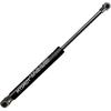 6425 Rear Trunk Lift Supports Shocks Struts Arms Prop Rod Damper Gas Springs for Volkswagen Beetle 2003-2008 Beetle Cabrio 2009-2010 Convertible