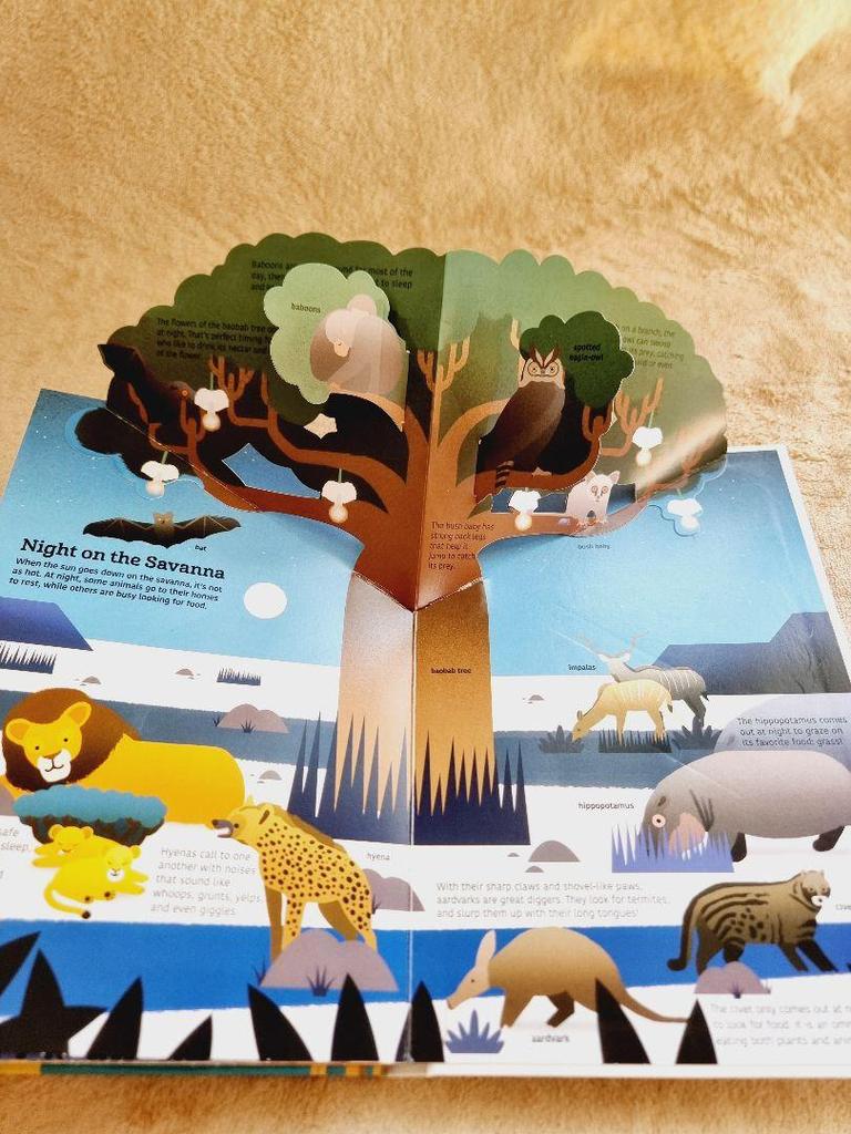 [USED] Ultimate: Savanna Animals Pop-up Book