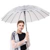 Transparent Straight Handle Umbrella