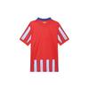 Nike Atlético Madrid 2024/25 Stadium Home Men's Nike Dri FIT Soccer Replica Jersey FN8790-406