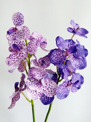 Orquídea Flor Artificial Roxo Orquídea Borboleta Flor Falsa Phalaenopsis Arranjo Floral Decoração Casa Sala de Estar Casamento