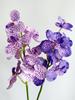 Orchid Atifical Flower Purple Butterfly Orchid Flower Fake Phalaenopsis Floral Arrangement Decoration Home Living Room Wedding