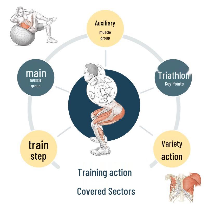 Triathlon Sports Anatomy Illustrated