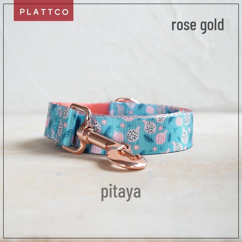 PLATTCO Fruit Series Nylon Pet Leash with Metal Buckle - Durable PDL323 Medium 2.5cm (42-48cm)