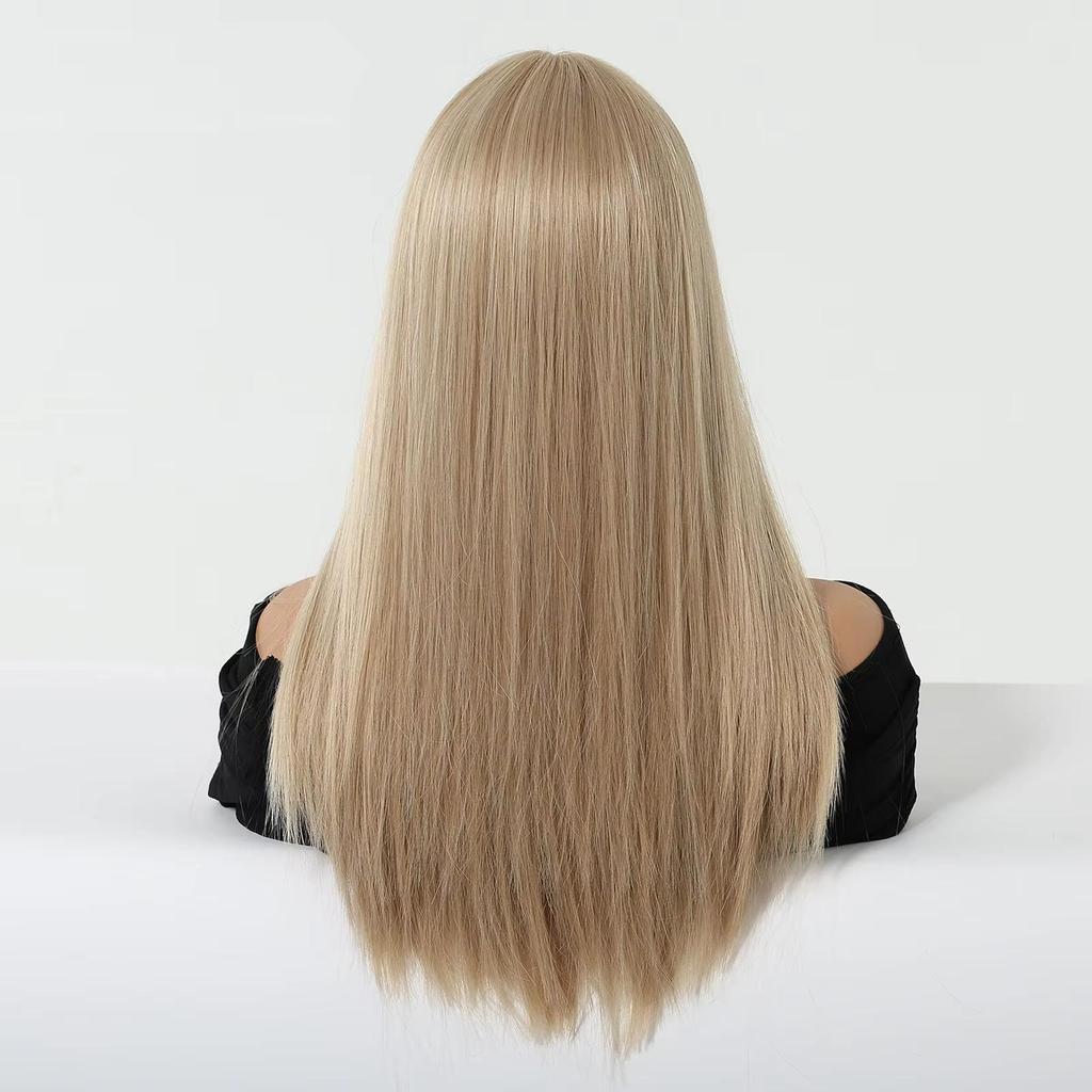 ALAN EATON Middle Part Blonde Synthetic Wigs Long Silk Straight Wig for Women Natural Looking Realistic Wig Heat Resistant Fiber