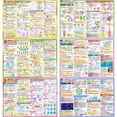 Conjunto Escolar para Banho Dominando o Exame de Admissão ao Ensino Fundamental Cartazes de Banho de Feito em B3 Educacional Preço Matemática/Ciências (Conjunto 2) Japão, Tamanho, À prova d'água,