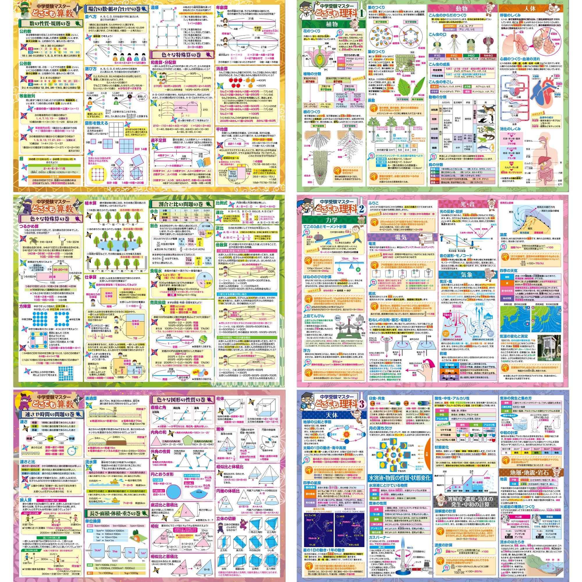 

Набор для ванной Освоение вступительного экзамена в среднюю школу Плакаты для ванной формата B3 Образовательный Цена Математика/Наука (Набор 2) Япония, Размер, Водонепроницаемый,